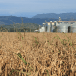 Antonio Augusto de Souza Coelho