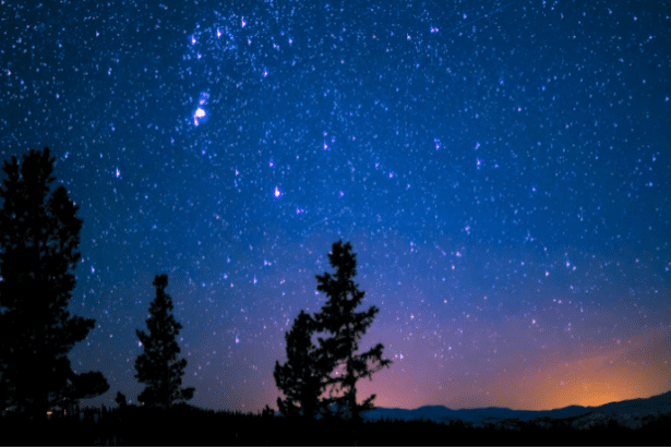 Jacques Dimas Mattos Albuquerque de Souza