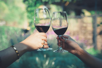 André Luiz Veiga Lauria