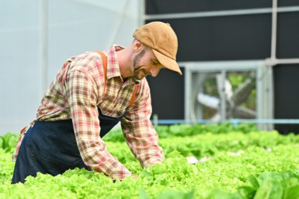 Antônio Augusto de Souza Coelho