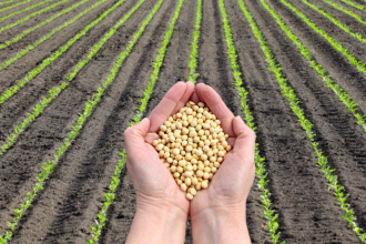 Danilo Regis Fernando Pinto mostra como a variação do preço das commodities impacta a economia brasileira, do câmbio ao crescimento.