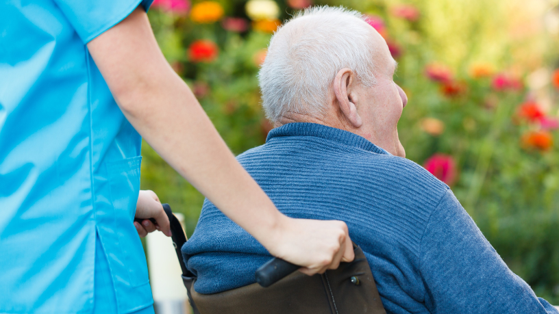 Sindnapi - Sindicato Nacional dos Aposentados, Pensionistas e Idosos